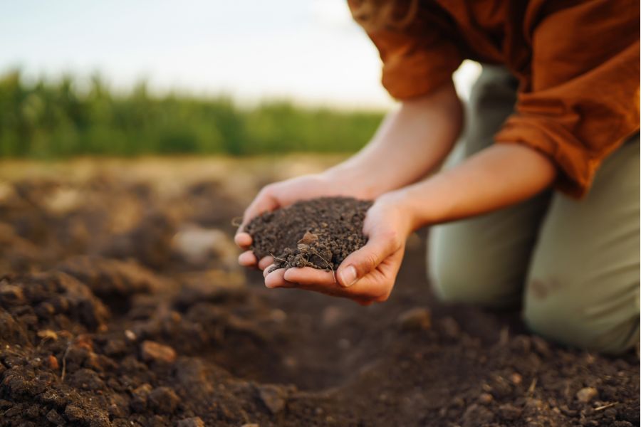 Choosing the Right Soil for Vibrant Plant Growth_ Your Garden's Unsung Hero