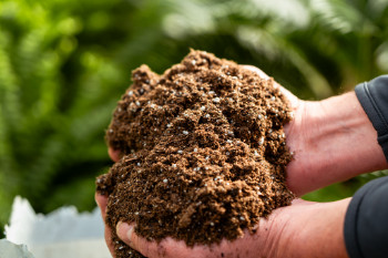 potters gold potting soil holding soil